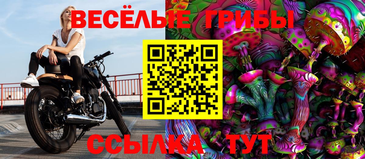 Галлюциногенные грибы Cubensis Свободный