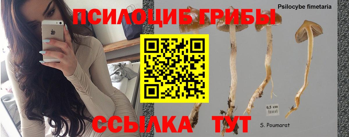 Галлюциногенные грибы Psilocybine cubensis  Вход с VPN  Свободный  Галлюциногенные грибы ЛСД 